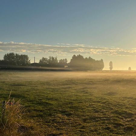 Kamille Villa Middelkerke Dış mekan fotoğraf